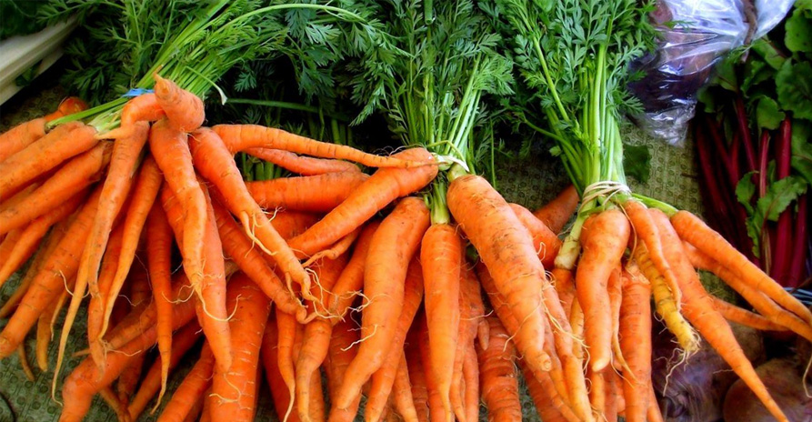 История происхождения моркови