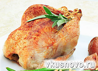 Рецепты блюд из курицы, уток и гусей, приготовление блюд из домашней птицы